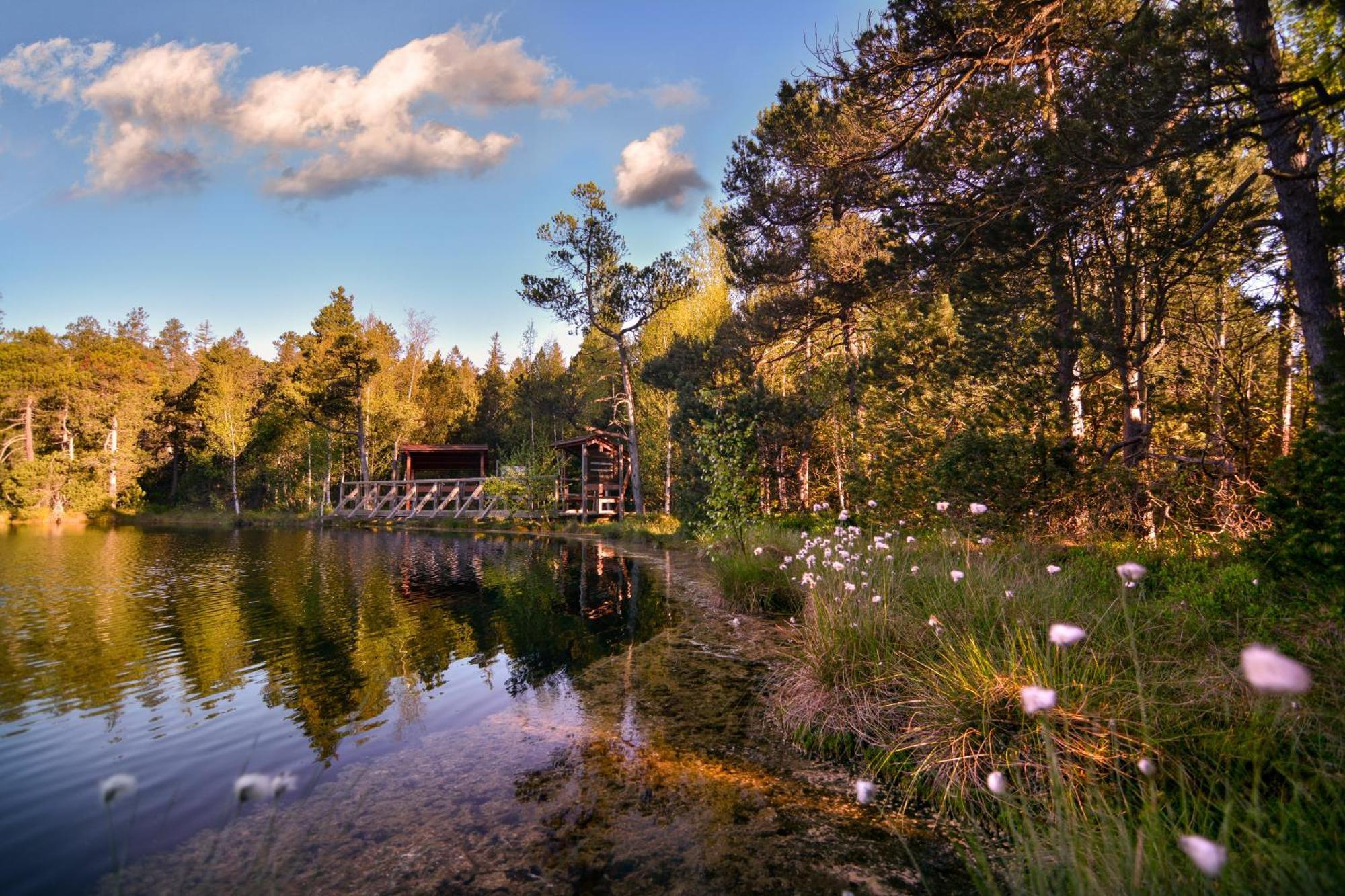 Hotel Krizovy Vrch Jesenik Bagian luar foto